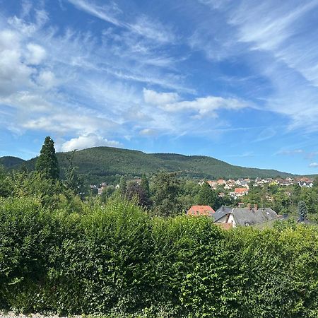 Horizons Du Haut Niederbronn-les-Bains Exterior photo