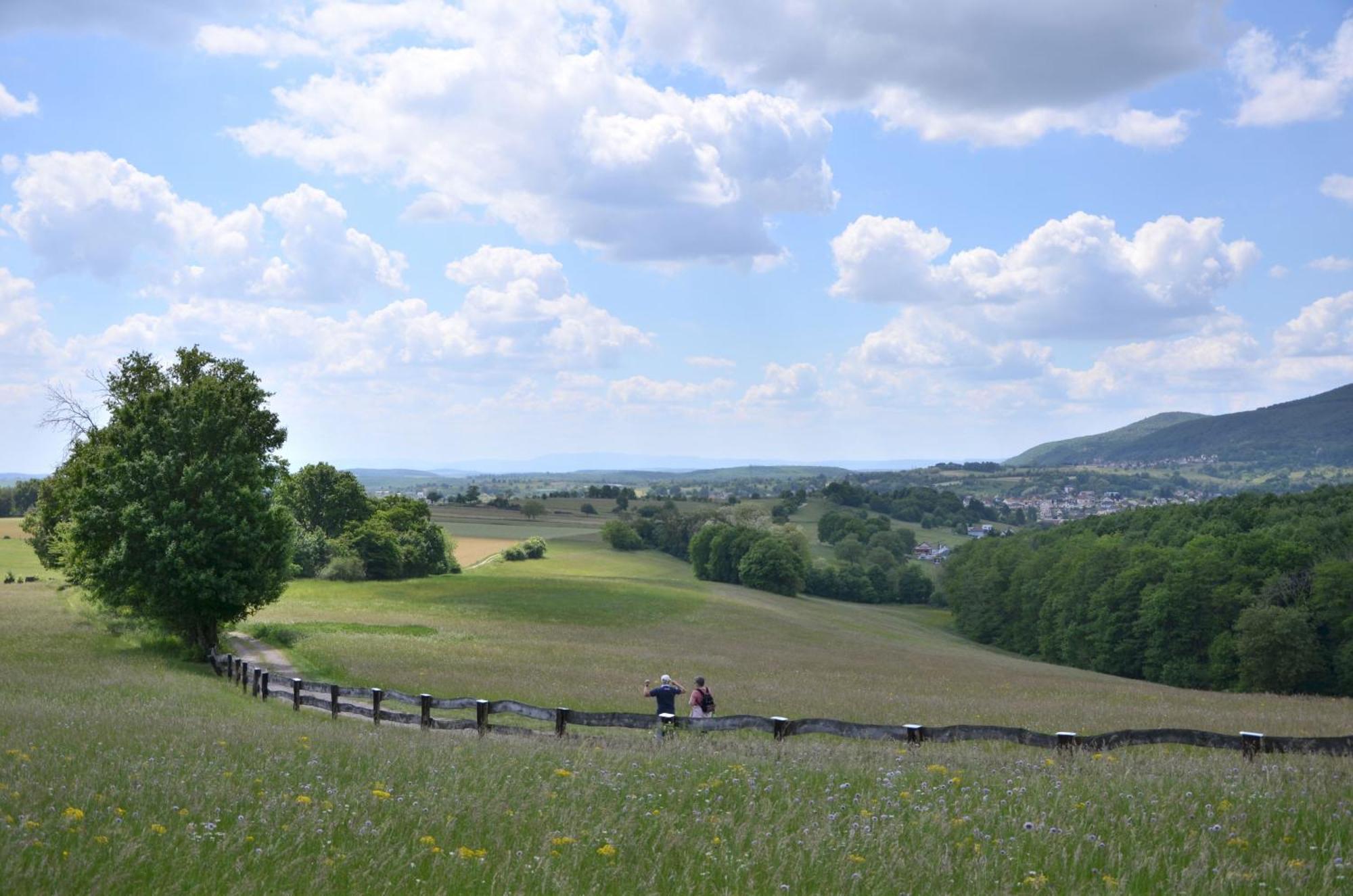 Horizons Du Haut Niederbronn-les-Bains Exterior photo